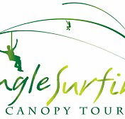 Jungle Surfing Canopy Tours and Jungle Adventures Nightwalks - Tweed Heads Accommodation