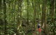 Mossman Gorge Centre - thumb 1