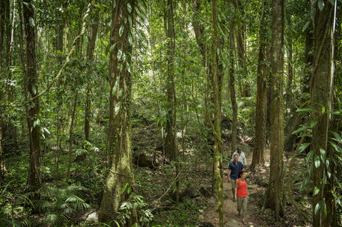 Mossman Gorge Centre - Tweed Heads Accommodation 1