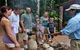 Ngadiku Dreamtime Walks - Mossman Gorge Centre - thumb 0
