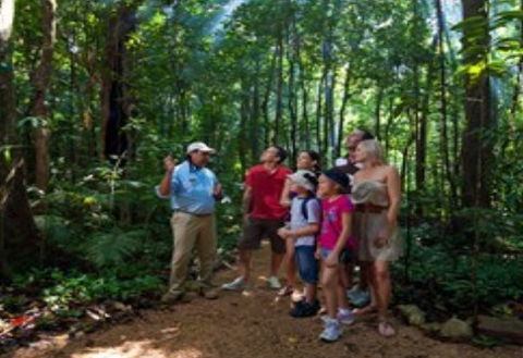 Ngadiku Dreamtime Walks - Mossman Gorge Centre - Tweed Heads Accommodation 1