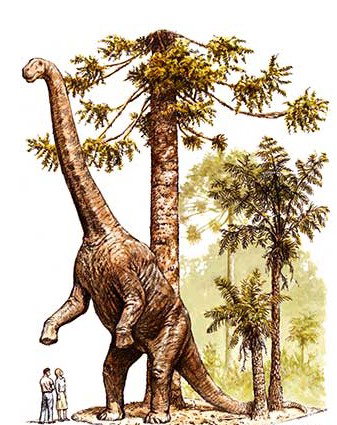 Australian Age Of Dinosaurs - Tweed Heads Accommodation 2