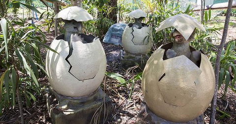 Palmersaurus Park - Tweed Heads Accommodation 2