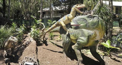 Palmersaurus Park - Tweed Heads Accommodation 5