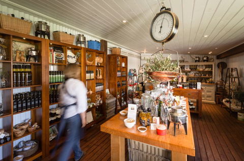 Vasse Virgin - Tweed Heads Accommodation 1