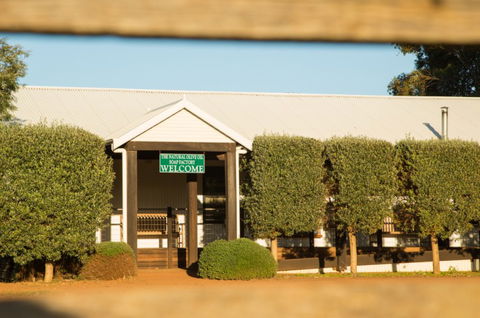 Vasse Virgin - Tweed Heads Accommodation 2