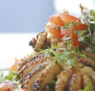 Nicks Bar and Grill - Tweed Heads Accommodation