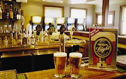 Regatta Bar - Log Cabin - Tweed Heads Accommodation 1