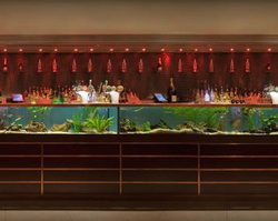 AB Hotel - Tweed Heads Accommodation 2