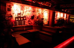 Electric Circus - Tweed Heads Accommodation 3
