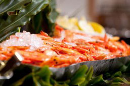 Food Fantasy - Tweed Heads Accommodation 0