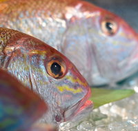 Coro Hotel - Lure Seafood Restaurant - Tweed Heads Accommodation