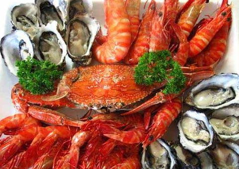 The Lazy Lobster - Tweed Heads Accommodation 1