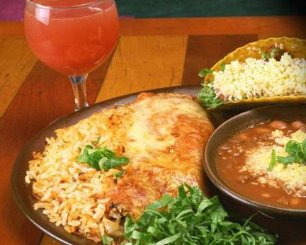 Montezuma's Labrador - Tweed Heads Accommodation 1