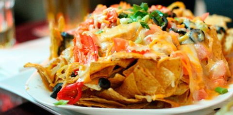 Montezuma's Labrador - Tweed Heads Accommodation 2