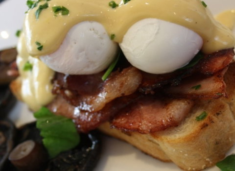 Raphael's On Brighton - Tweed Heads Accommodation 2