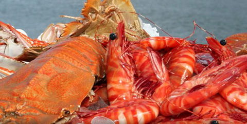 Morgans Seafood Restaurant - Tweed Heads Accommodation 5