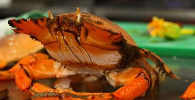 River Cottage Restaurant - Tweed Heads Accommodation 0