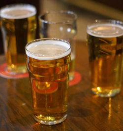 Toongabbie Hotel - Tweed Heads Accommodation 0