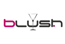 Blush Night Club - Tweed Heads Accommodation 0