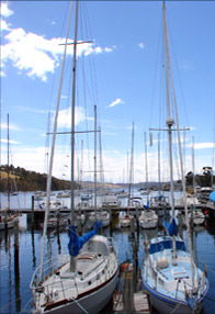 Saltwater River TAS Tweed Heads Accommodation