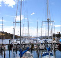 Oyster Cove Inn - Tweed Heads Accommodation