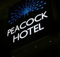 Peacock Inn Hotel - Tweed Heads Accommodation