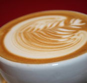 Greenwood Hotel - Tweed Heads Accommodation