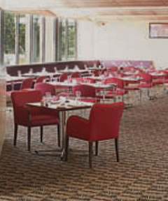 Trinity Bar And Restaurant - Tweed Heads Accommodation 2