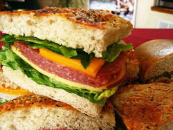 Jabiru Bar - Tweed Heads Accommodation 3