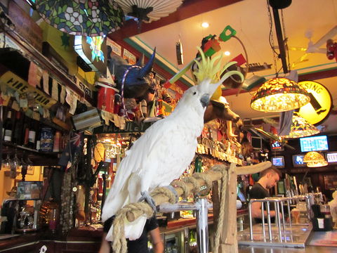 A Friend In Hand - Tweed Heads Accommodation 0