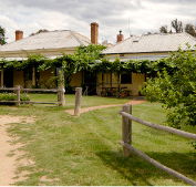 The Blue Duck Inn Hotel - Tweed Heads Accommodation
