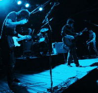 Fly By Night Musicians Club - Tweed Heads Accommodation
