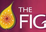 Naked Fig - Tweed Heads Accommodation 0