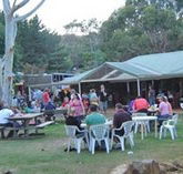 Bush Shack Brewery - Tweed Heads Accommodation