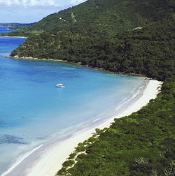 Palm Cove Tavern - Tweed Heads Accommodation 1