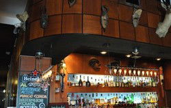 Safari Cocktail Bar - Tweed Heads Accommodation 1