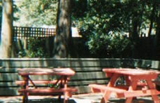 The Grand Hotel Healesville - Tweed Heads Accommodation 2