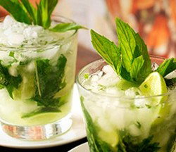 Coco Cubano - Darlinghurst - Tweed Heads Accommodation 2