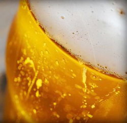 Palm Cove Tavern - Tweed Heads Accommodation 3