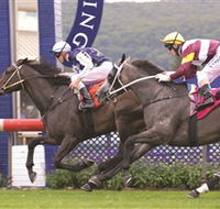 Gosford Race Club - Tweed Heads Accommodation