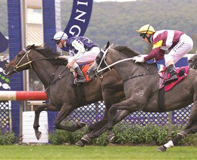 Gosford Race Club - Tweed Heads Accommodation 0