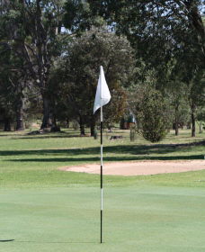 Inverell Golf Club - Tweed Heads Accommodation 1
