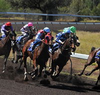Alice Springs Turf Club - Tweed Heads Accommodation