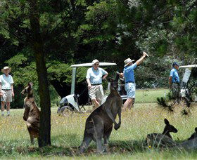 Yarrowford NSW Tweed Heads Accommodation