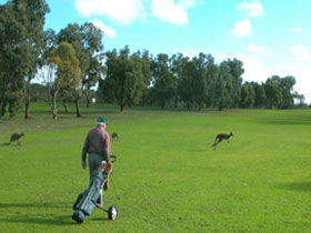 Coffin Bay Golf Club - Tweed Heads Accommodation 0
