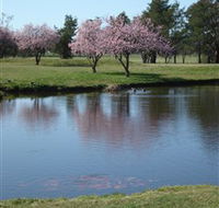 RMC Golf Club - Tweed Heads Accommodation