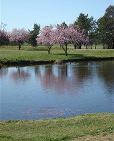 RMC Golf Club - Tweed Heads Accommodation 0