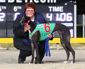 Bulli Greyhound Racing Club - Tweed Heads Accommodation 0