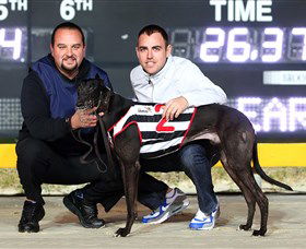 Bulli Greyhound Racing Club - Tweed Heads Accommodation 1